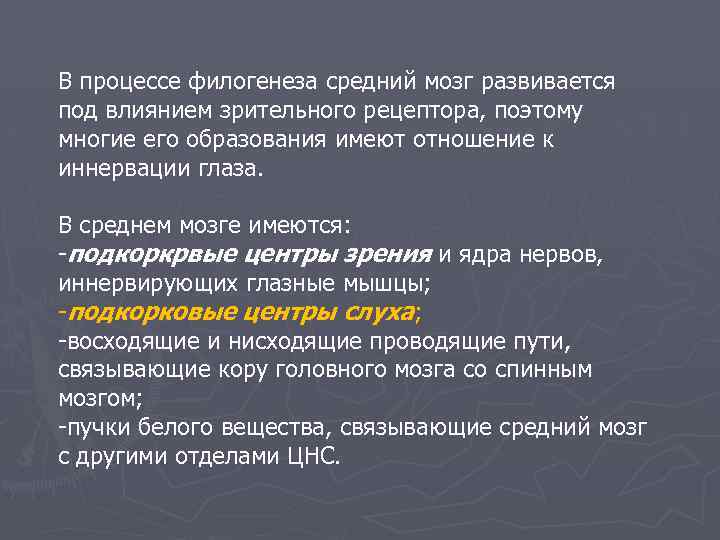 В процессе филогенеза средний мозг развивается под влиянием зрительного рецептора, поэтому многие его образования