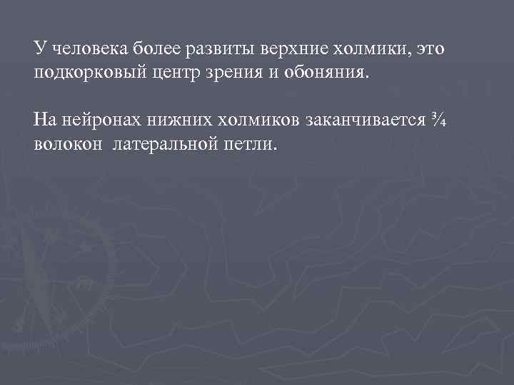 У человека более развиты верхние холмики, это подкорковый центр зрения и обоняния. На нейронах