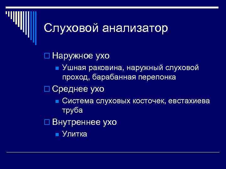 Слуховой анализатор o Наружное ухо n Ушная раковина, наружный слуховой проход, барабанная перепонка o