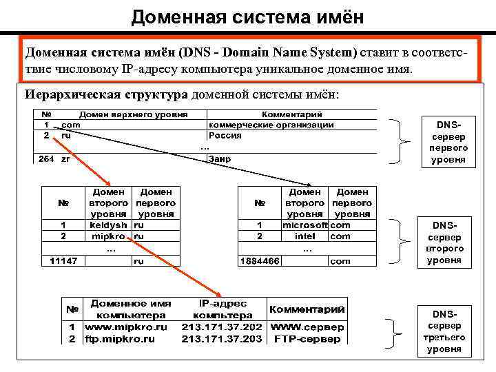 Доменная система имён (DNS - Domain Name System) ставит в соответс твие числовому IP