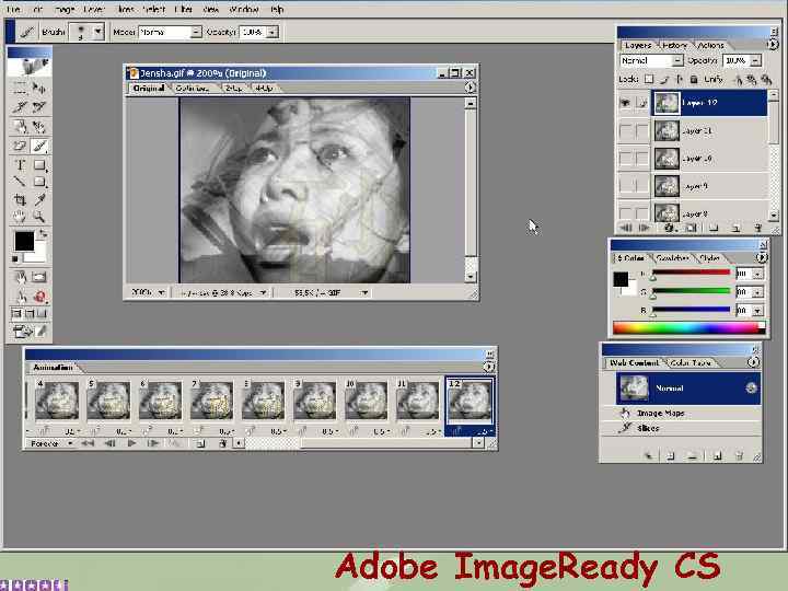 Adobe Image. Ready CS 