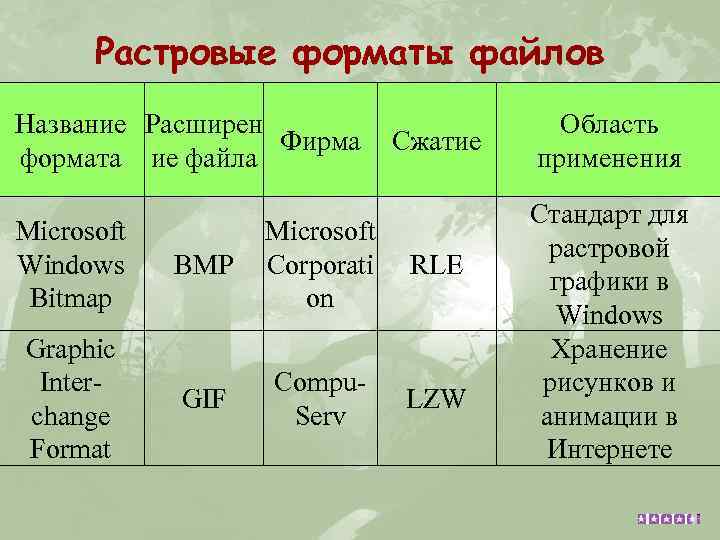 Растровые форматы файлов Название Расширен Фирма формата ие файла Microsoft Windows Bitmap Graphic Interchange