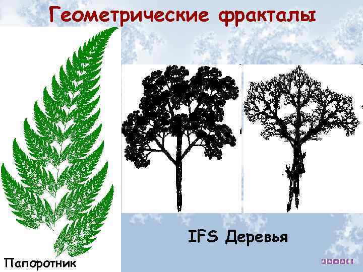 Геометрические фракталы IFS Деревья Папоротник 