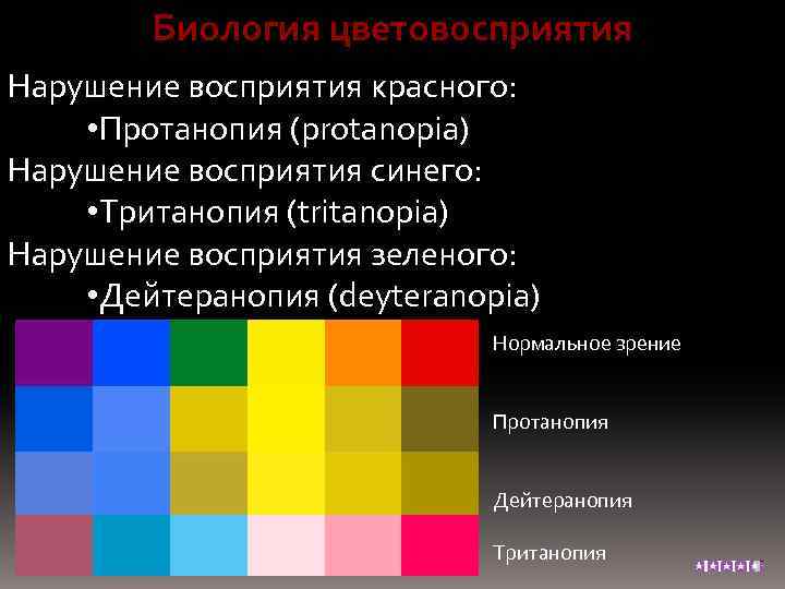 Биология цветовосприятия Нарушение восприятия красного: • Протанопия (protanopia) Нарушение восприятия синего: • Тританопия (tritanopia)