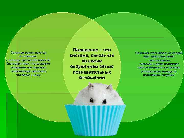 Организм ориентируется в ситуациях, к которым приспосабливается, благодаря тому, что выделяет определенные признаки, позволяющие