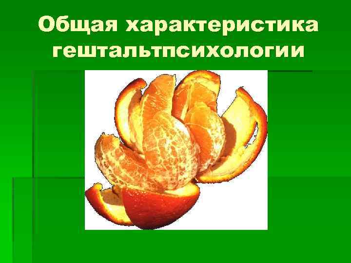 Общая характеристика гештальтпсихологии 