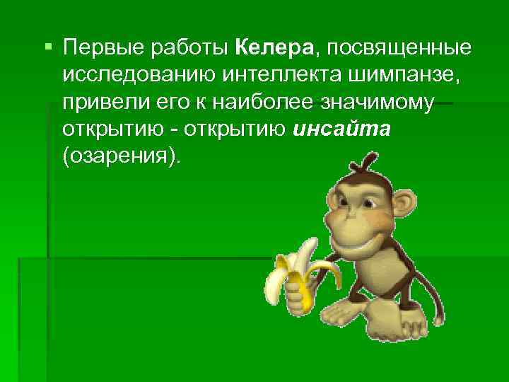 § Первые работы Келера, посвященные исследованию интеллекта шимпанзе, привели его к наиболее значимому открытию