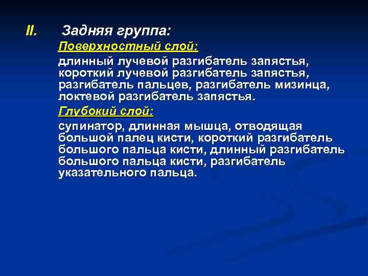 II. Задняя группа: Поверхностный слой: длинный лучевой разгибатель запястья, короткий лучевой разгибатель запястья, разгибатель