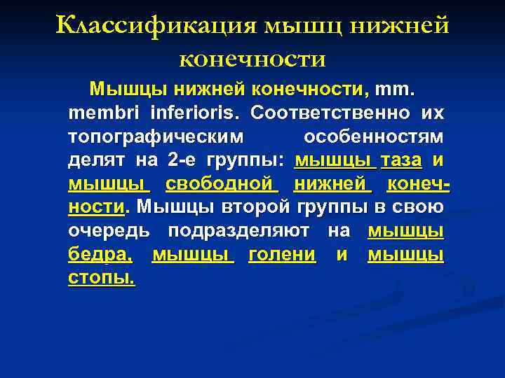 Классификация мышц нижней конечности Мышцы нижней конечности, mm. membri inferioris. Соответственно их топографическим особенностям