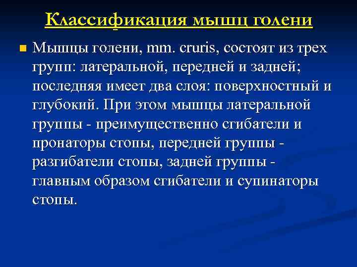 Классификация мышц голени n Мышцы голени, mm. cruris, состоят из трех групп: латеральной, передней