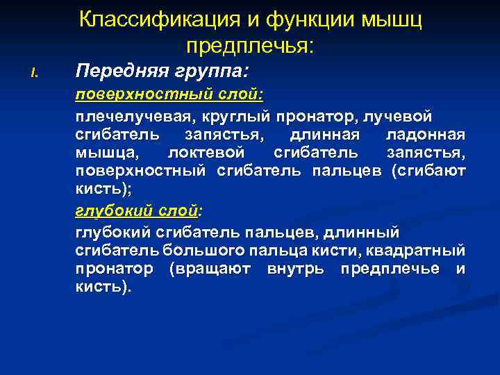 Классификация и функции мышц предплечья: I. Передняя группа: поверхностный слой: плечелучевая, круглый пронатор, лучевой