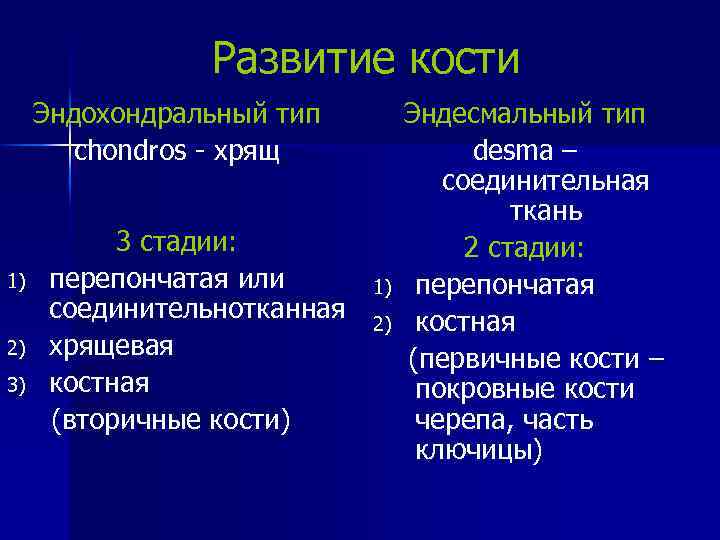 Развитие кости Эндохондральный тип chondros - хрящ 1) 2) 3) 3 стадии: перепончатая или