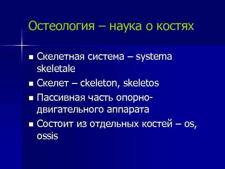 Остеология – наука о костях Скелетная система – systema skeletale n Cкелет – ckeleton,