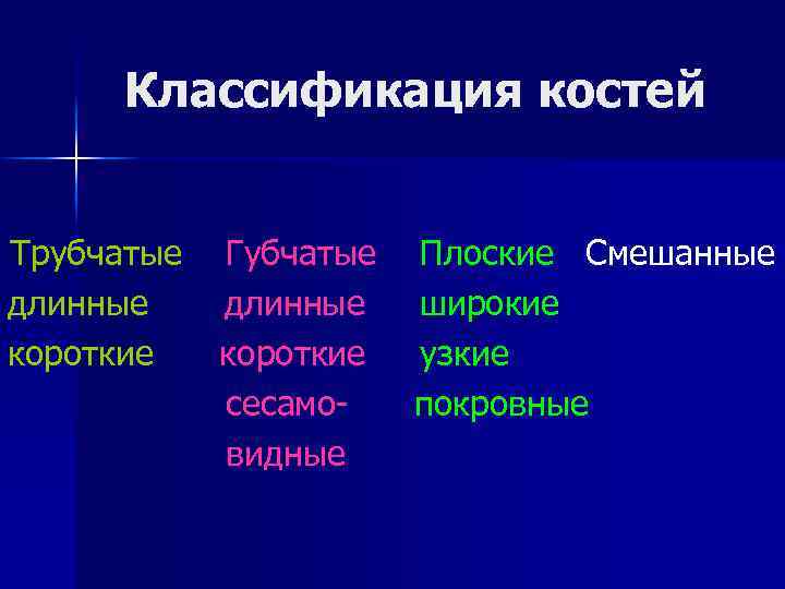 Классификация костей Трубчатые длинные короткие Губчатые длинные короткие сесамовидные Плоские Смешанные широкие узкие покровные