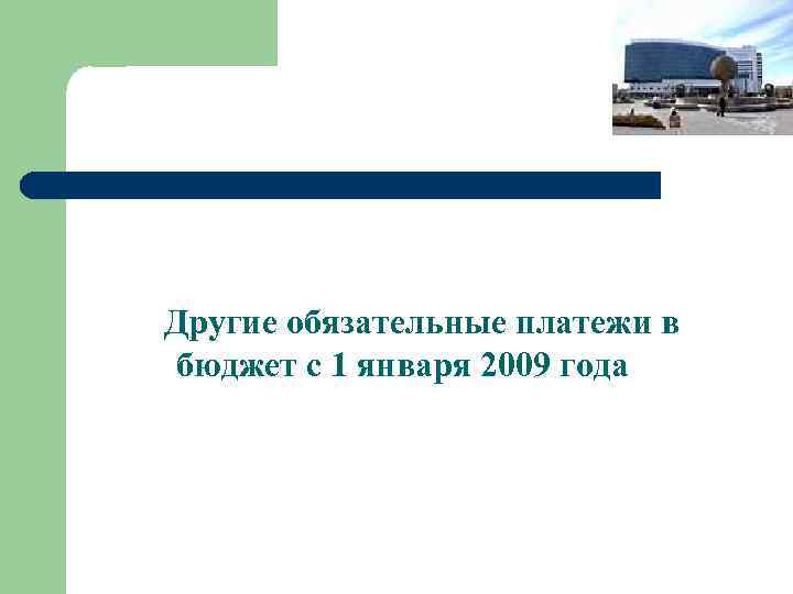 Другие обязательные платежи в бюджет с 1 января 2009 года 
