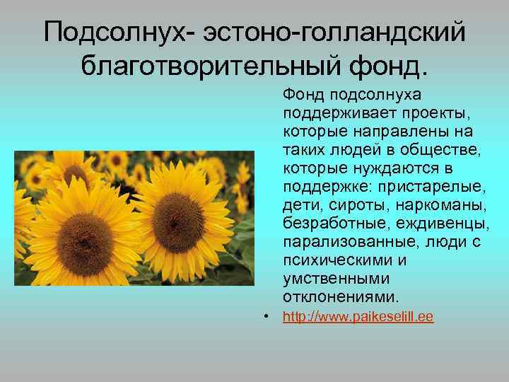 Подсолнух- эстоно-голландский благотворительный фонд. Фонд подсолнуха поддерживает проекты, которые направлены на таких людей в