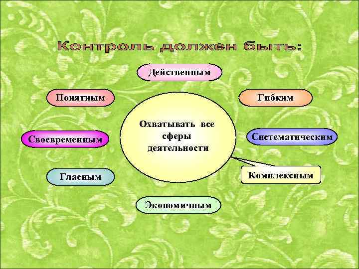 Действенным Понятным Своевременным Гибким Охватывать все сферы деятельности Систематическим Комплексным Гласным Экономичным 