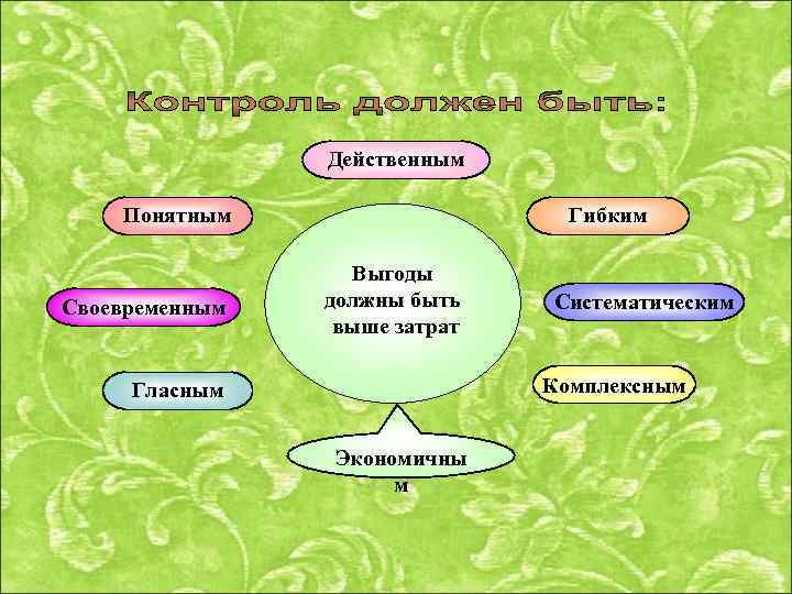 Действенным Понятным Своевременным Гибким Выгоды должны быть выше затрат Систематическим Комплексным Гласным Экономичны м