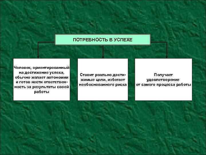 ПОТРЕБНОСТЬ В УСПЕХЕ Человек, ориентированный на достижение успеха, обычно желает автономии и готов нести