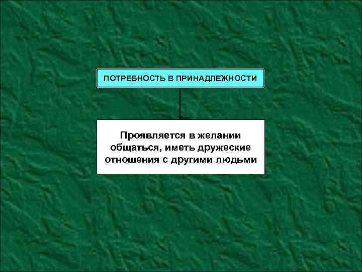 ПОТРЕБНОСТЬ В ПРИНАДЛЕЖНОСТИ Проявляется в желании общаться, иметь дружеские отношения с другими людьми 