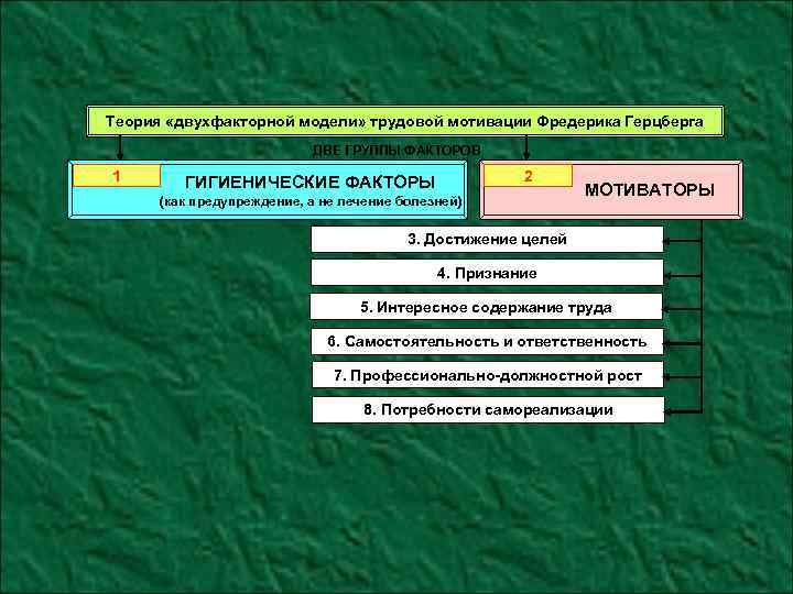 Теория «двухфакторной модели» трудовой мотивации Фредерика Герцберга ДВЕ ГРУППЫ ФАКТОРОВ 1 2 ГИГИЕНИЧЕСКИЕ ФАКТОРЫ