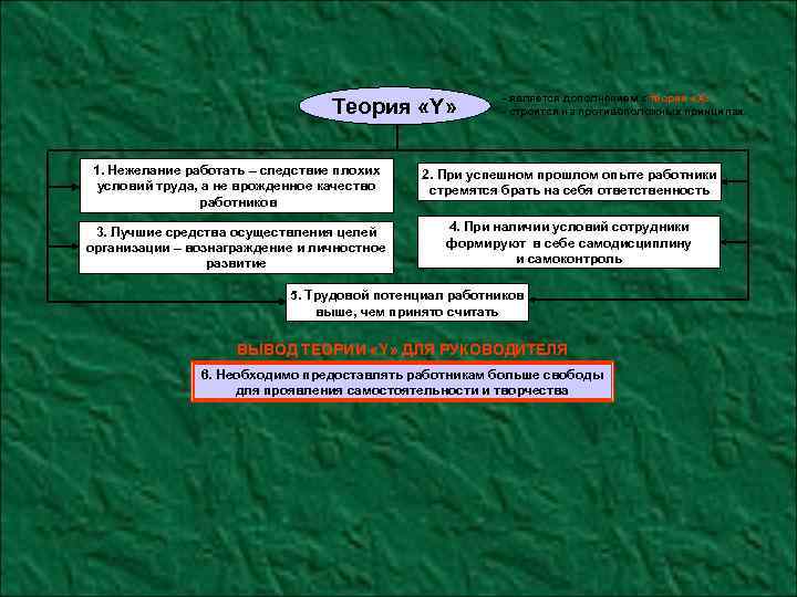 Теория «Y» - является дополнением к теории «X» ; - строится на противоположных принципах.