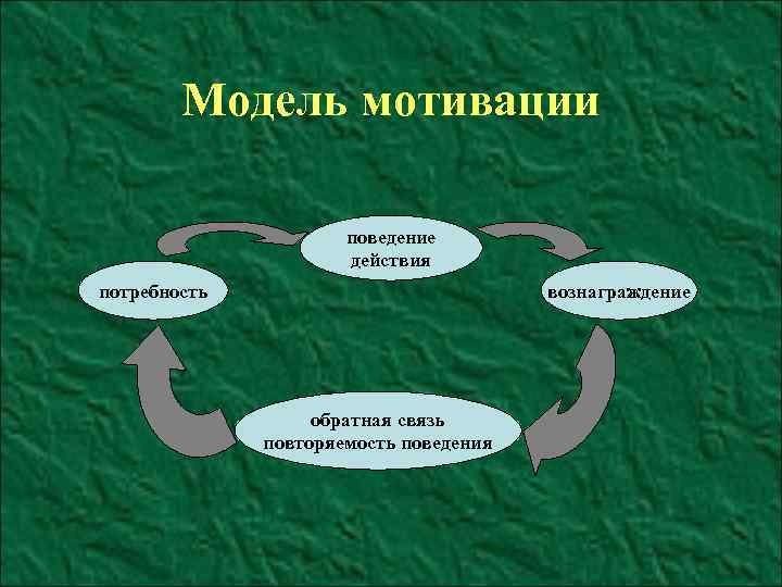 Модель мотивации поведение действия потребность вознаграждение обратная связь повторяемость поведения 