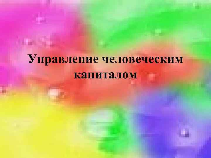 Управление человеческим капиталом 