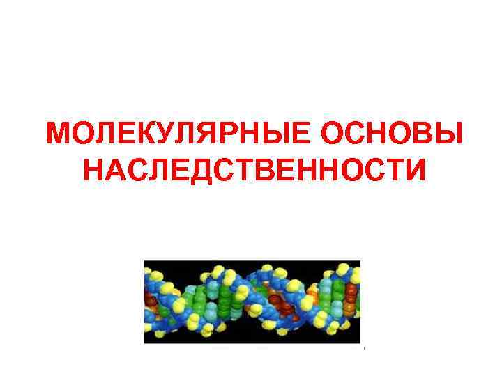 Молекулярна основа. Молекулярные основы наследственности. Молекулярные основы наследственности генетика. Молекулярные основы наследственности и изменчивости. Молекулярные носители наследственности.