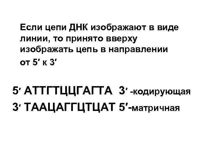 Если цепи ДНК изображают в виде линии, то принято вверху изображать цепь в направлении