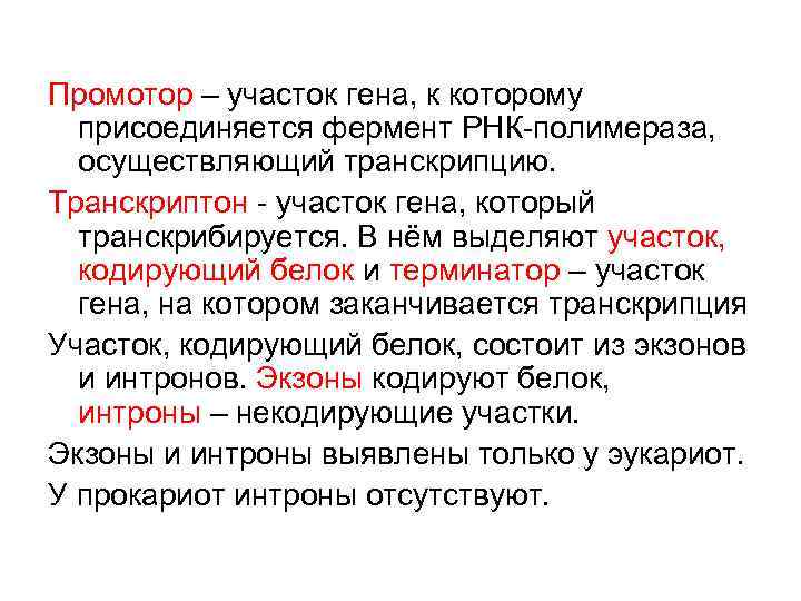 Участок гена. Промотор Гена. Промоторная область Гена это. Промотор это зона Шена. Промотор это участок Гена.