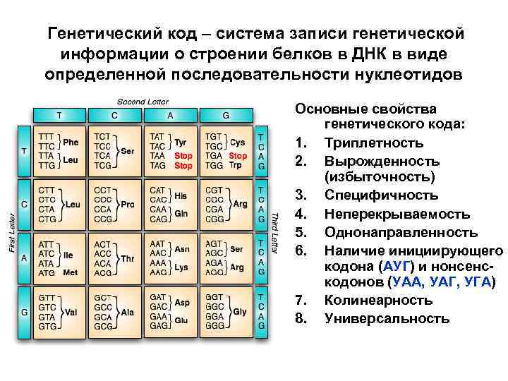 Вырожденность генетического кода