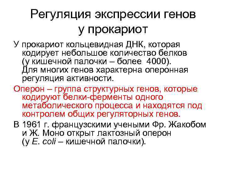 Регуляция экспрессии генов у прокариот У прокариот кольцевидная ДНК, которая кодирует небольшое количество белков