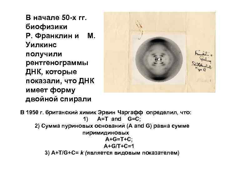 В начале 50 -х гг. биофизики Р. Франклин и М. Уилкинс получили рентгенограммы ДНК,