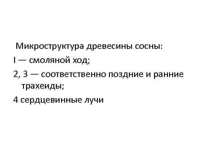  Микроструктура древесины сосны: I — смоляной ход; 2, 3 — соответственно поздние и