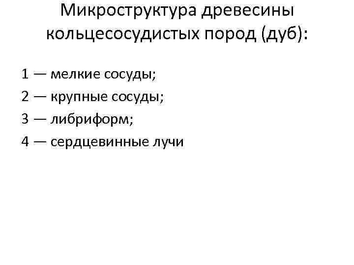 Микроструктура древесины кольцесосудистых пород (дуб): 1 — мелкие сосуды; 2 — крупные сосуды; 3