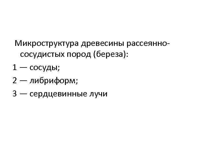  Микроструктура древесины рассеяннососудистых пород (береза): 1 — сосуды; 2 — либриформ; 3 —