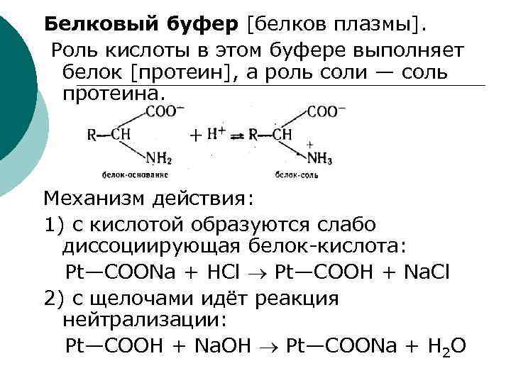 Белковая буферная система физиология презентация