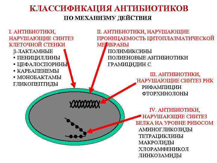 Антибиотики классификация