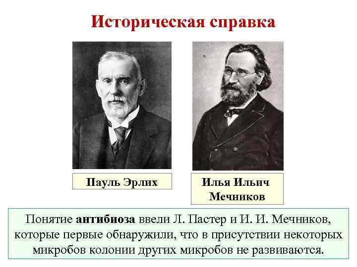 Историческая справка Пауль Эрлих Илья Ильич Мечников Понятие антибиоза ввели Л. Пастер и И.