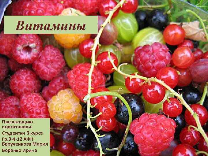 Витамины Презентацию подготовили: Студентки 3 курса Гр. 3 -4 -12 АФК Берученкова Мария Боренко