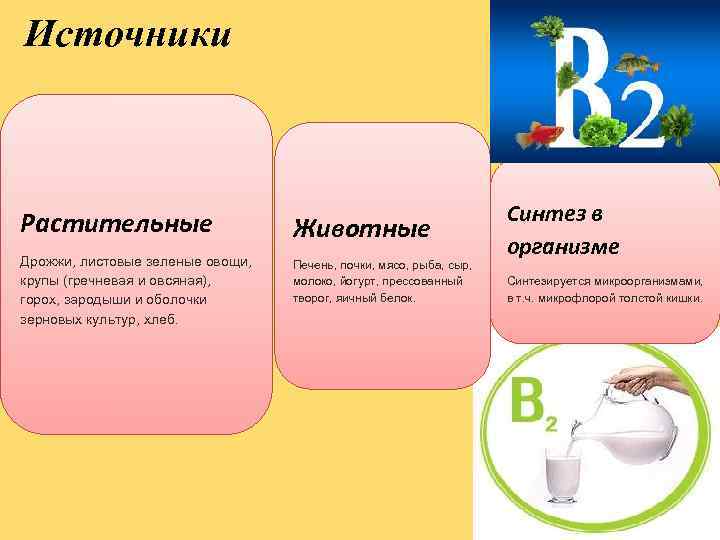 Источники Растительные Животные Дрожжи, листовые зеленые овощи, крупы (гречневая и овсяная), горох, зародыши и