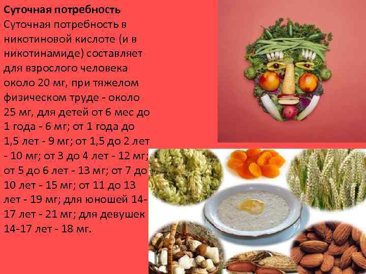 Суточная потребность в никотиновой кислоте (и в никотинамиде) составляет для взрослого человека около 20