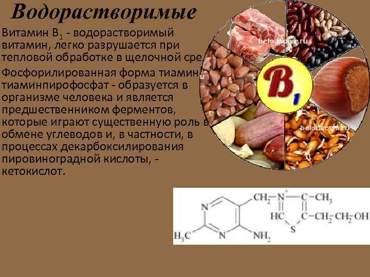 Водорастворимые витамины примеры. Водорастворимый витамин b1 функции. Водорастворимые витамины в 13.