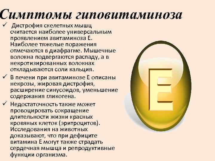 Симптомы гиповитаминоза ü Дистрофия скелетных мышц считается наиболее универсальным проявлением авитаминоза Е. Наиболее тяжелые
