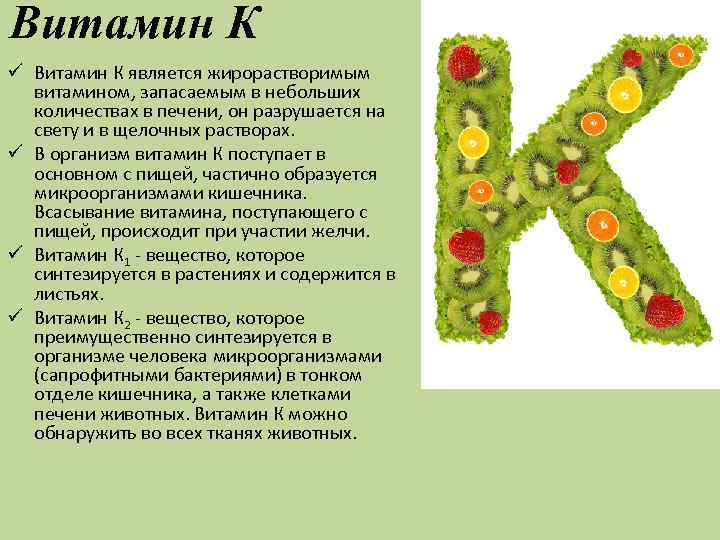 Витамин К ü Витамин К является жирорастворимым витамином, запасаемым в небольших количествах в печени,
