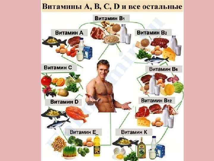 Пища Способствующая Росту Члена