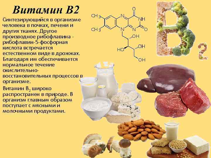 Какой витамин синтезируется микрофлорой