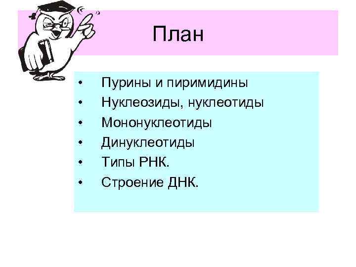 План • • • Пурины и пиримидины Нуклеозиды, нуклеотиды Мононуклеотиды Динуклеотиды Типы РНК. Строение