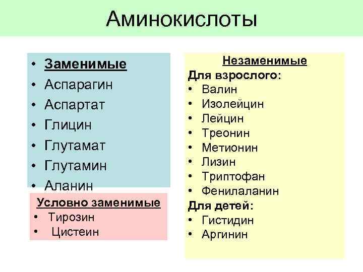 Аминокислоты • Заменимые • Аспарагин • Аспартат • Глицин • Глутамат • Глутамин •